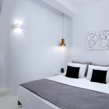 Villa Edem Garden Andros Town