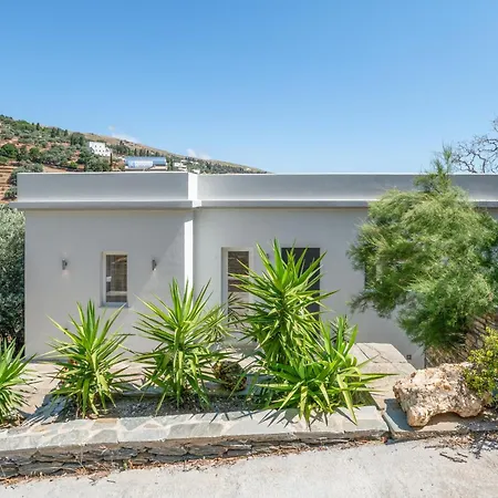Villa Edem Garden Ándros